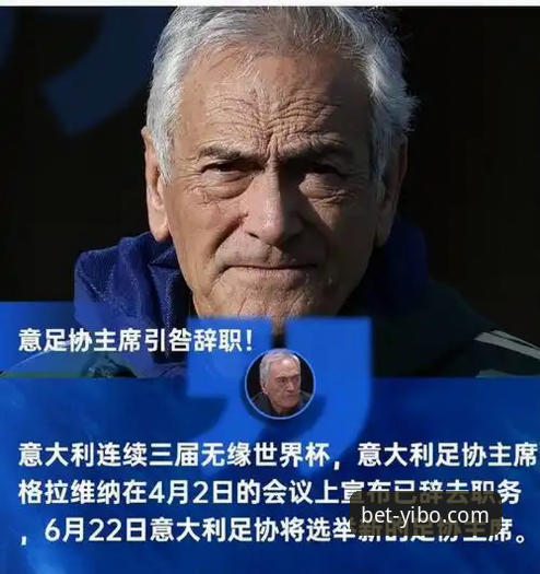 资深球迷分享：在亿博体育台剖析意大利出局背后的深层逻辑